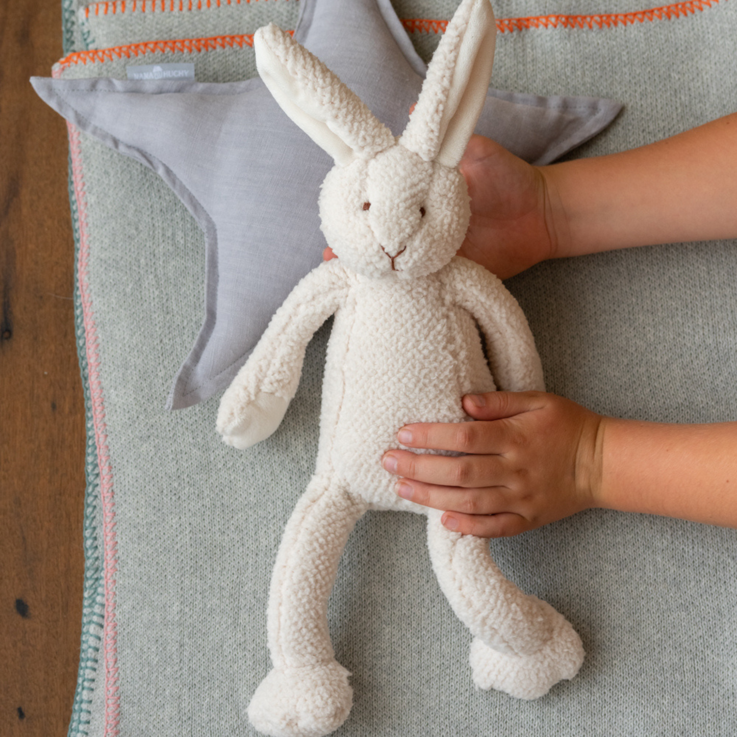 Bonnie the Ener-Bunny