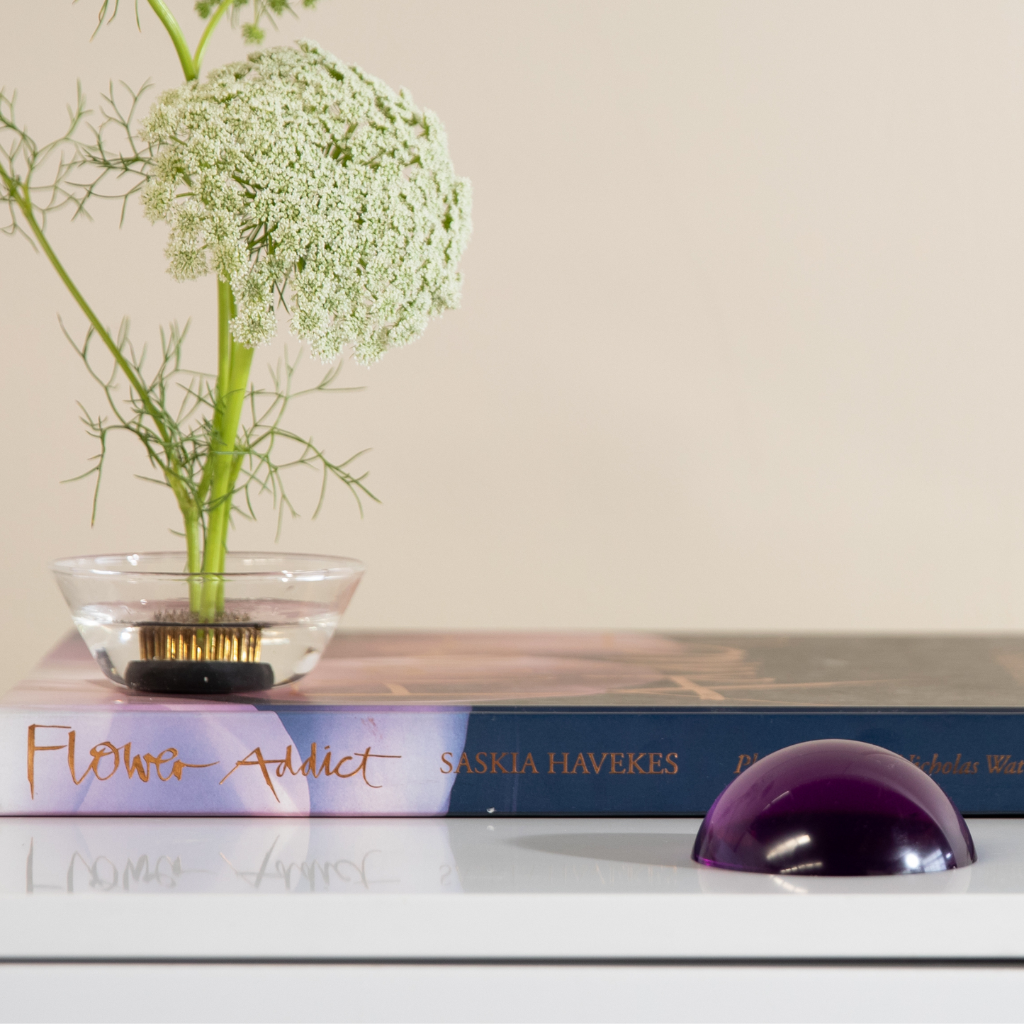 Stellar Dome® EMF protection