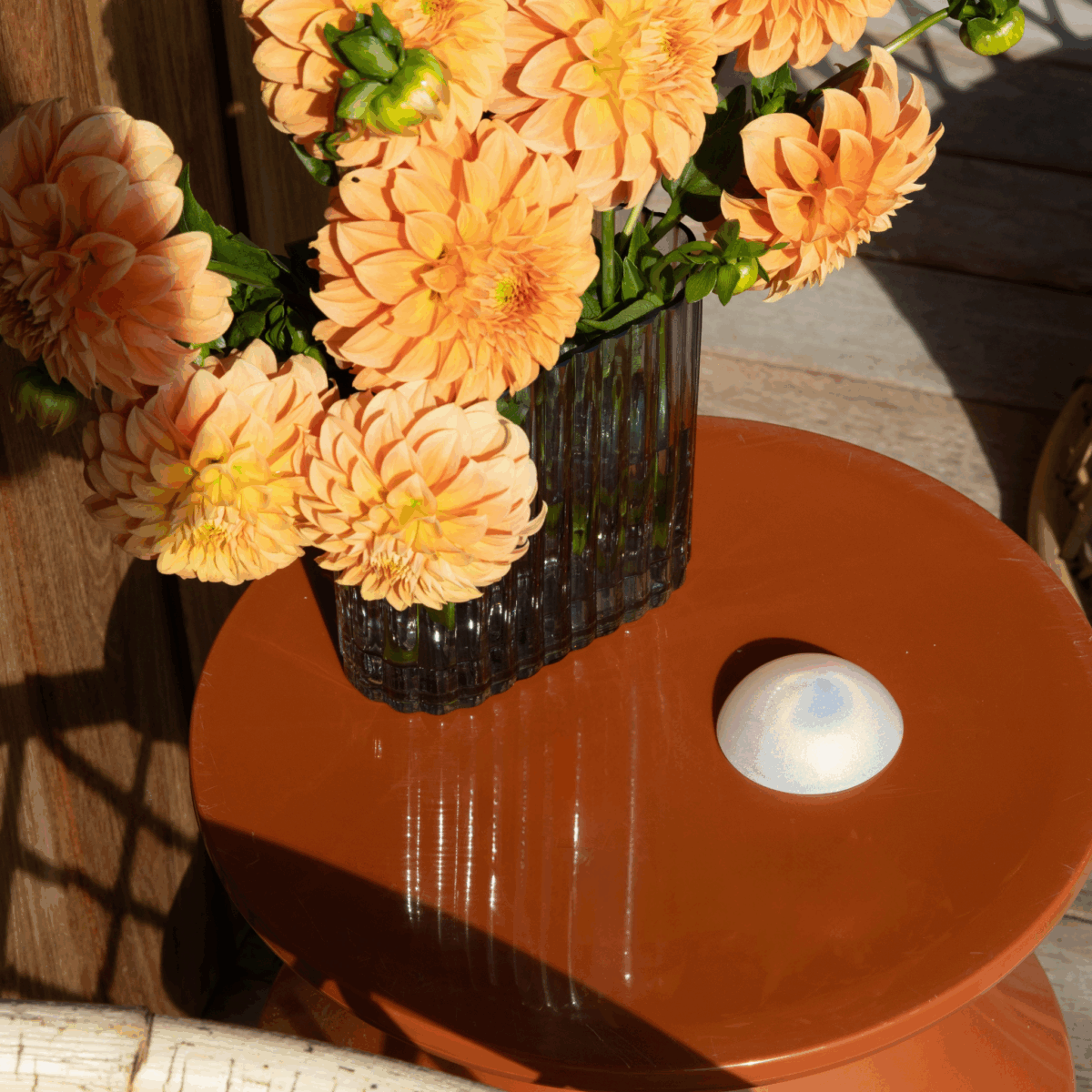 Stellar Dome® EMF protection