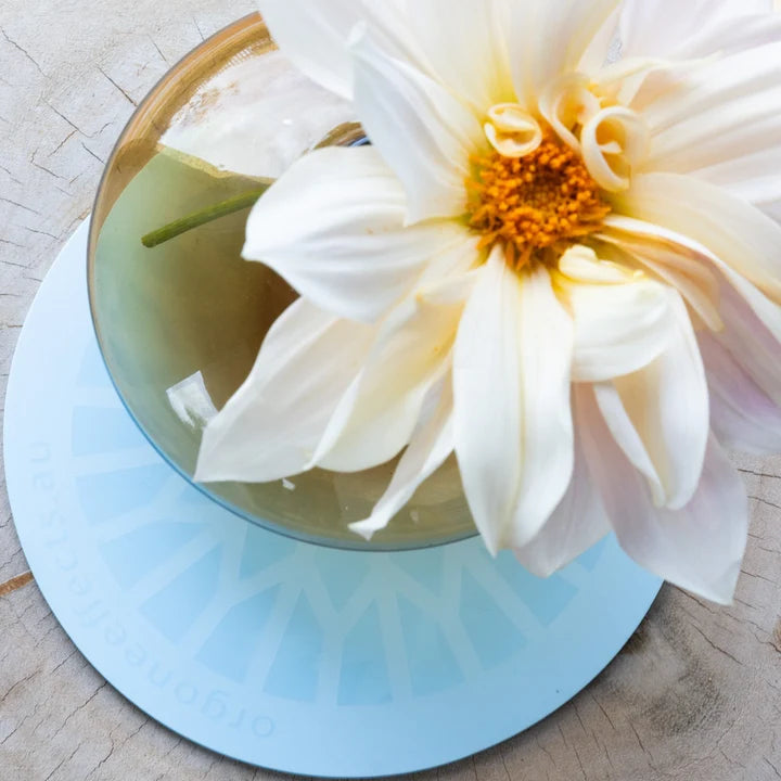 NEW Water & Food Rejuvenation Plate